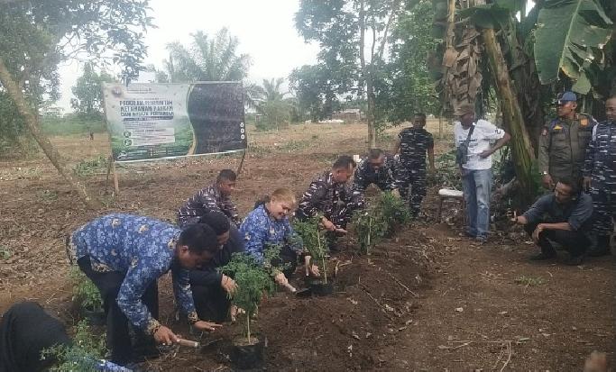 Kodaeral I TNI AL Garap 270 Hektare Lahan PTPN untuk Ketahanan Pangan dan Wisata Pertanian di Deli Serdang